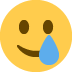 :笑着流泪: :笑着流泪: