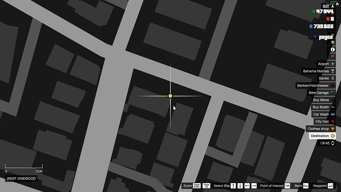 blip map view