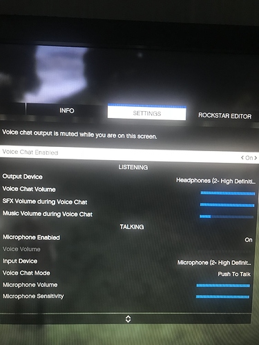 Chat gta 5 cant Voice chat