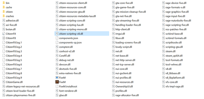 FiveM client folder screenshot