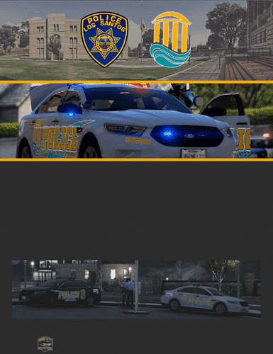 University Police 3