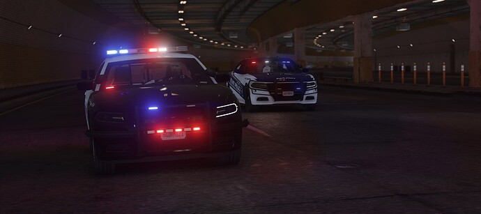 LSPD_Charger