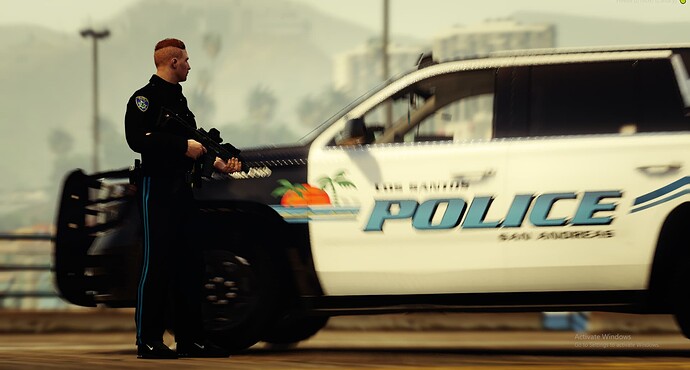 lspd8.PNG