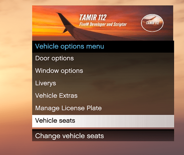 vehicle options