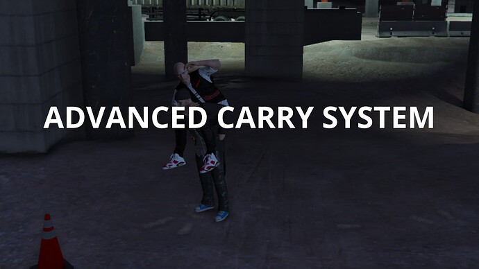 ADVANCED CARRY SYSTEM (1)