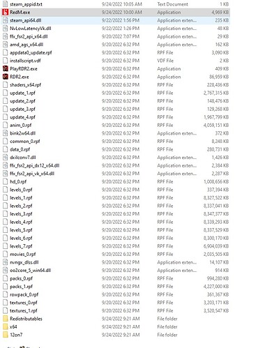 RDR2 Folder Screenshot for RedM