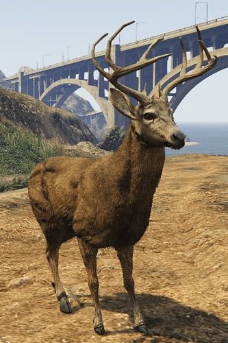 Deer-GTAV