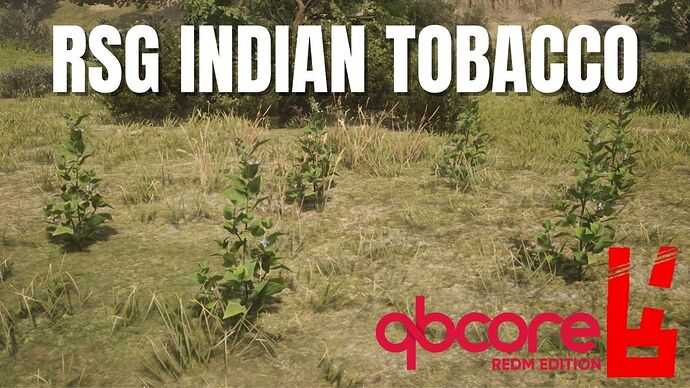 rsg_indian_tobacco