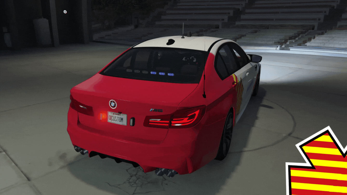 EMS BMW