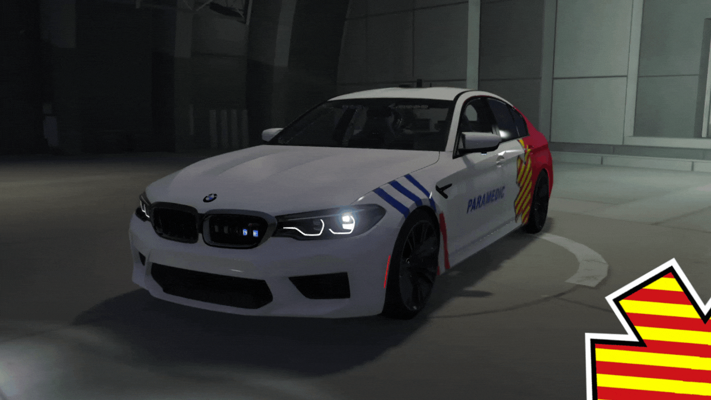 EMS BMW