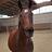 Alex001_2534