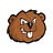 Beavermods