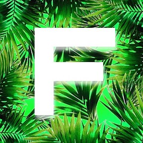 Fritix
