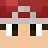 GENEXIX_05