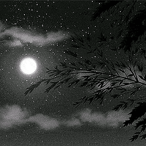 Gracus-Dev