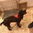Jamie_Pott