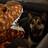 K9Bear