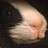 Mercgamer255_Member