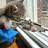 Mikkel_The_danish_ga