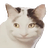 MonzyL