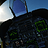 moosedog12345