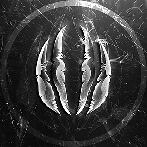 MorphDE