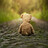 Teddy_Terras